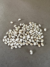 Load image into Gallery viewer, Carolina Cream Peas
