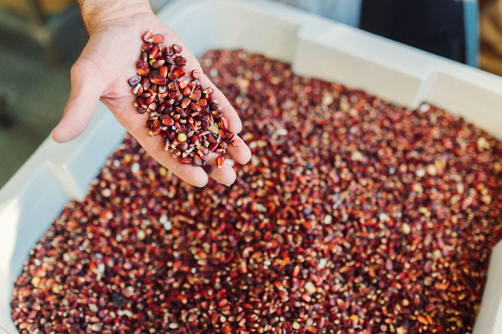 Jimmy Red Cornbread Mix – Altman Farm and Mill